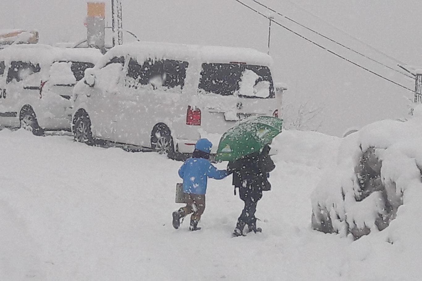 Bitlis'te kar yağışı nedeniyle okullar tatil edildi